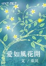 ����绨��(VIP��ᣬ���飬�߸�)