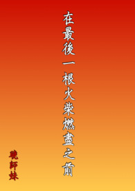 闪婚后成了总裁的掌心宠冉糖黎穆寒
