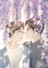 总裁一见情深唐晓晓