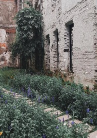 夏阳薛小婵重生之投资大亨