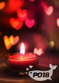 末世之重生守护你