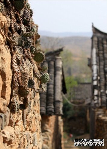 嫡女重生：医妃毒步天下