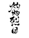不一样的系统大明星