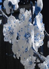 神豪：开局系统奖励一家西餐厅