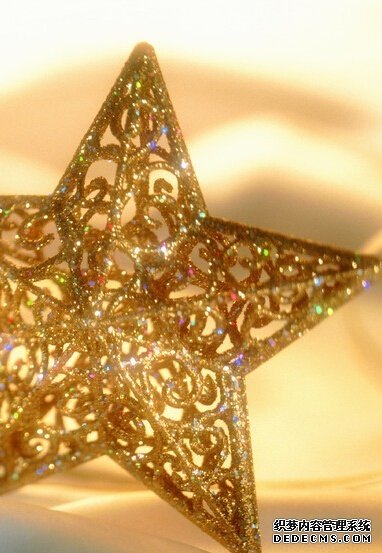 重生1979：发家从采药开始