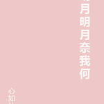 重生之持子之手