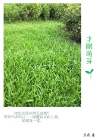 龙骸战神