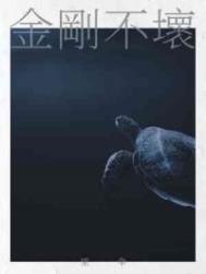 穿越之弄潮者