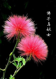 重生激荡年代：从种田开始