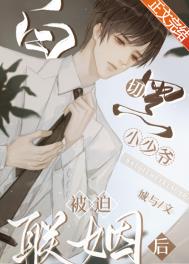 海贼之超神养猪聊天群