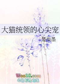 相师系统