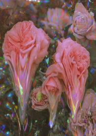 重生后我扛起了团宠大旗